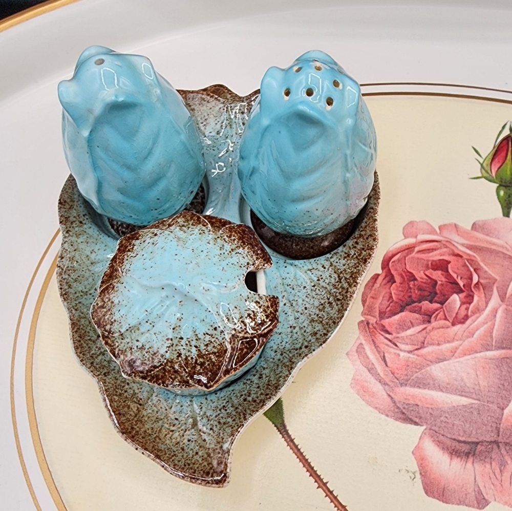 Royal Winton Grimwades Turquoise Tulips Cruet Set Rare